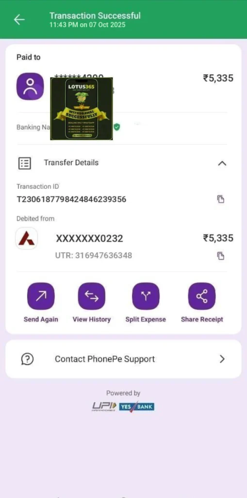 Gold Betting payout proof-phonepe-2