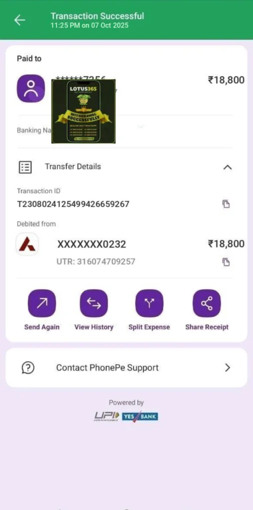 Gold Betting payout proof-phonepe-3