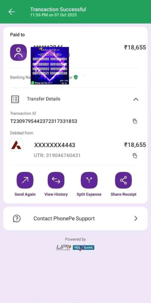 Gold Betting payout proof-phonepe